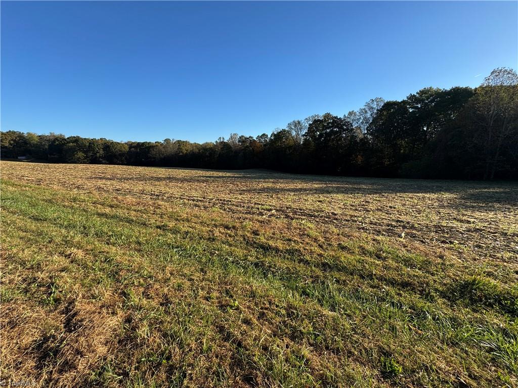 8.10-acres Brown Road King, NC 27021 - Photo 4 of 20