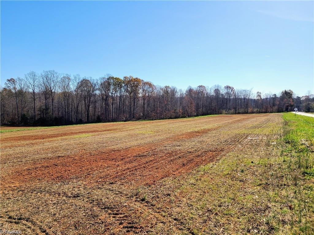 8.10-acres Brown Road King, NC 27021 - Photo 5 of 20