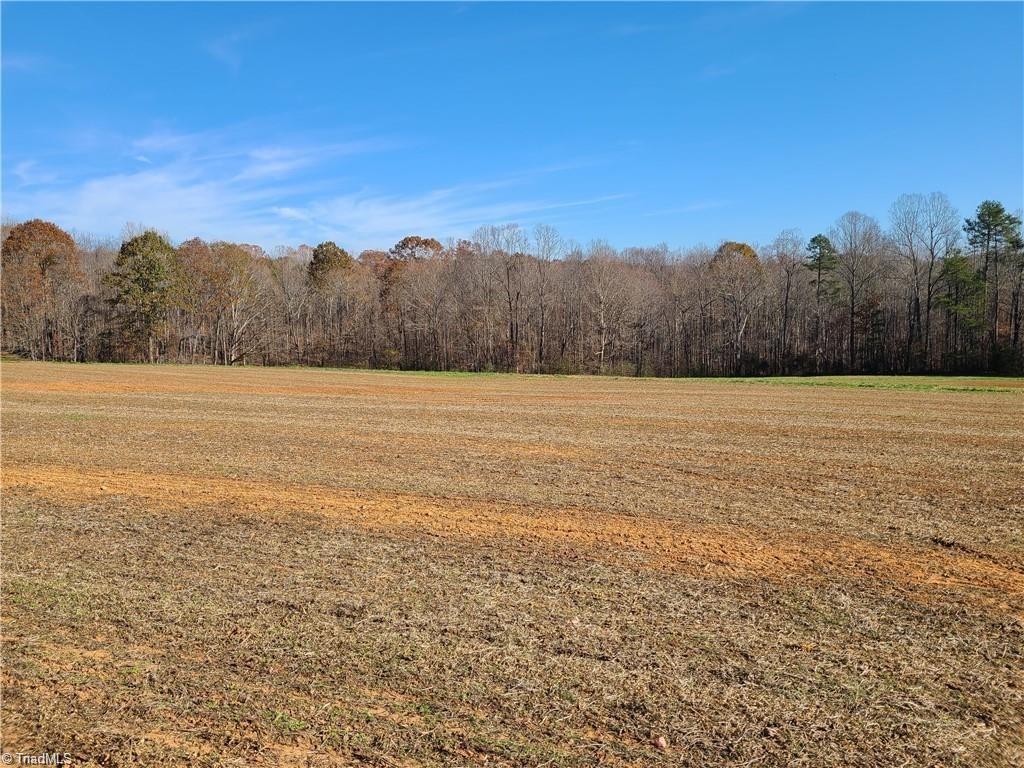 8.10-acres Brown Road King, NC 27021 - Photo 6 of 20