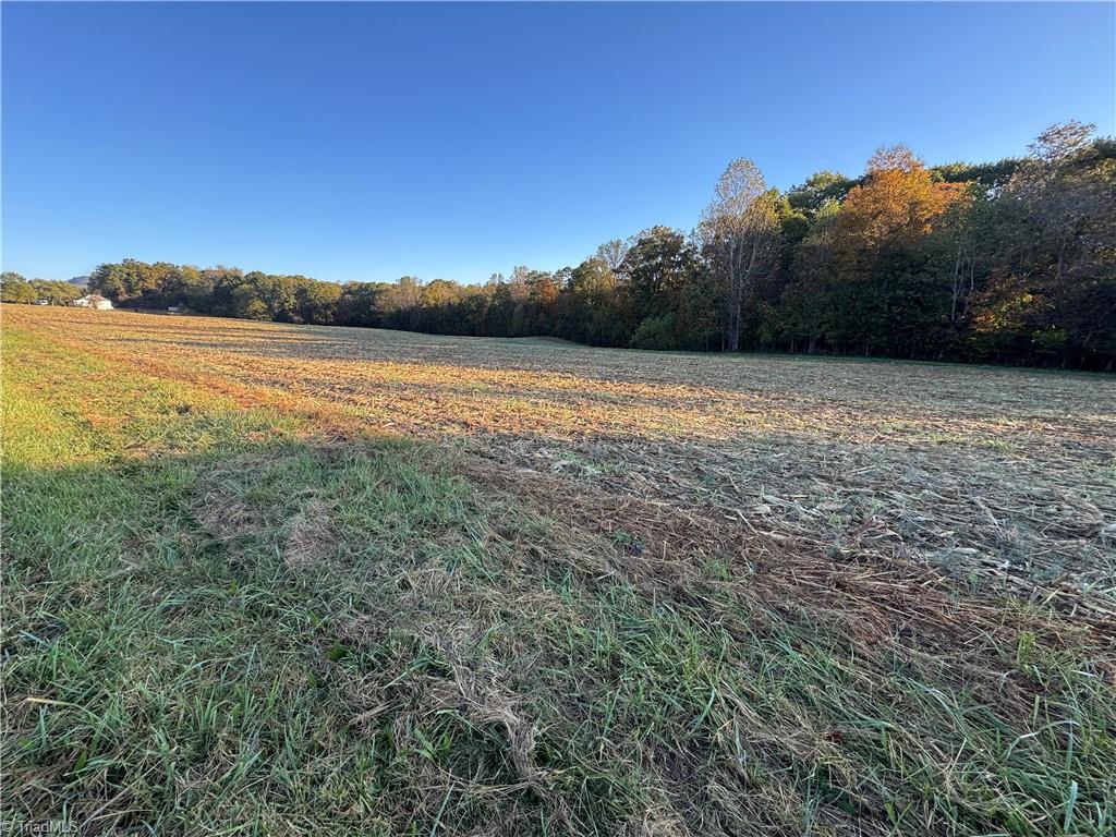 8.10-acres Brown Road King, NC 27021 - Photo 7 of 20