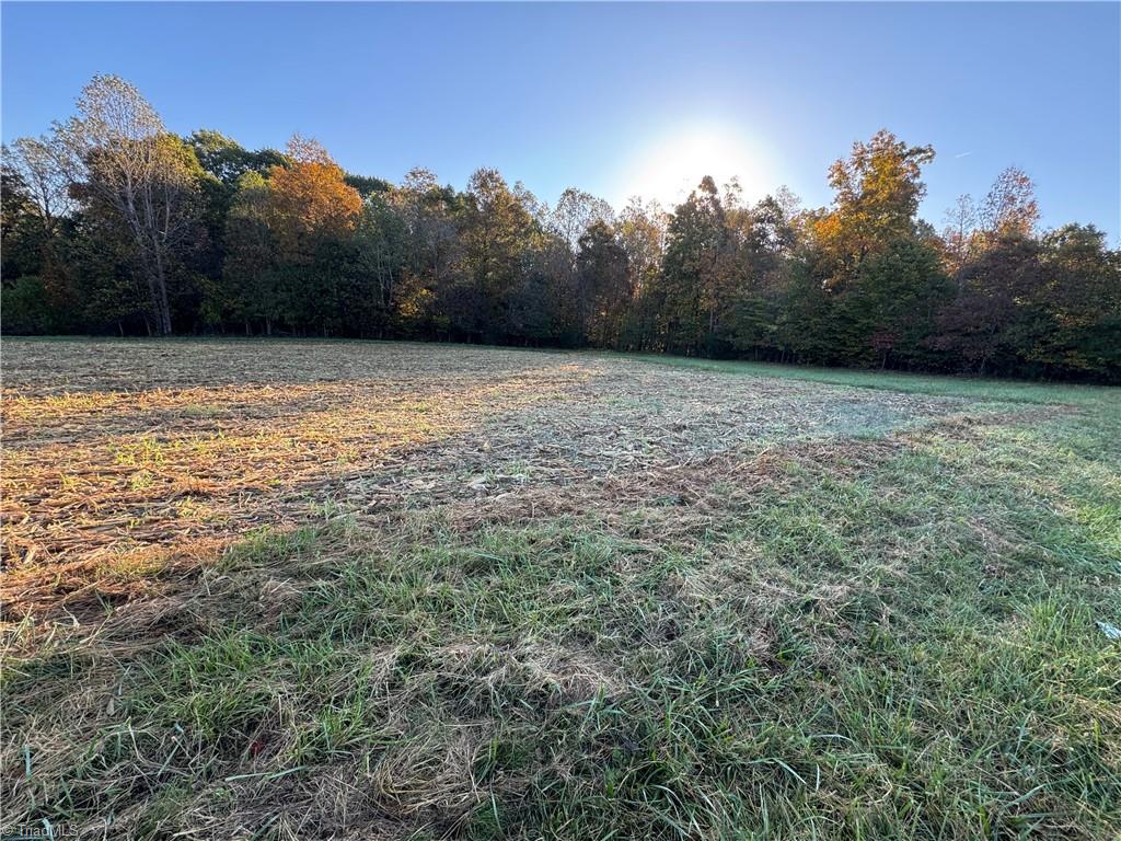 8.10-acres Brown Road King, NC 27021 - Photo 8 of 20