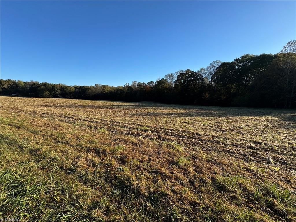 8.10-acres Brown Road King, NC 27021 - Photo 9 of 20