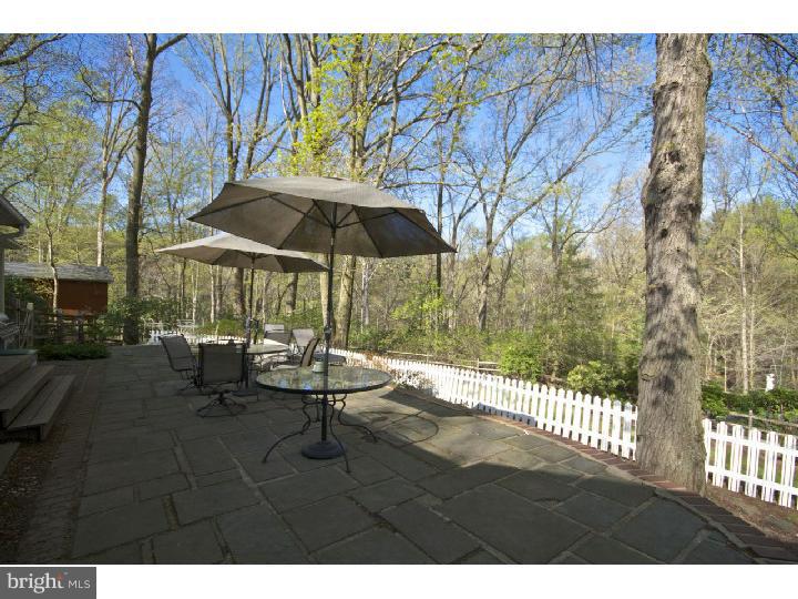 331 Paxon Hollow Road Media, PA 19063 - Photo 18 of 24 Back Yard