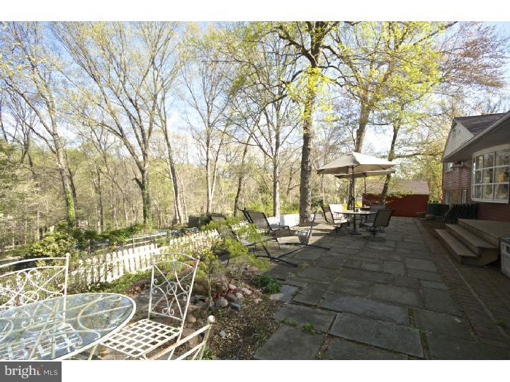 331 Paxon Hollow Road Media, PA 19063 - Photo 20 of 24 Back Yard