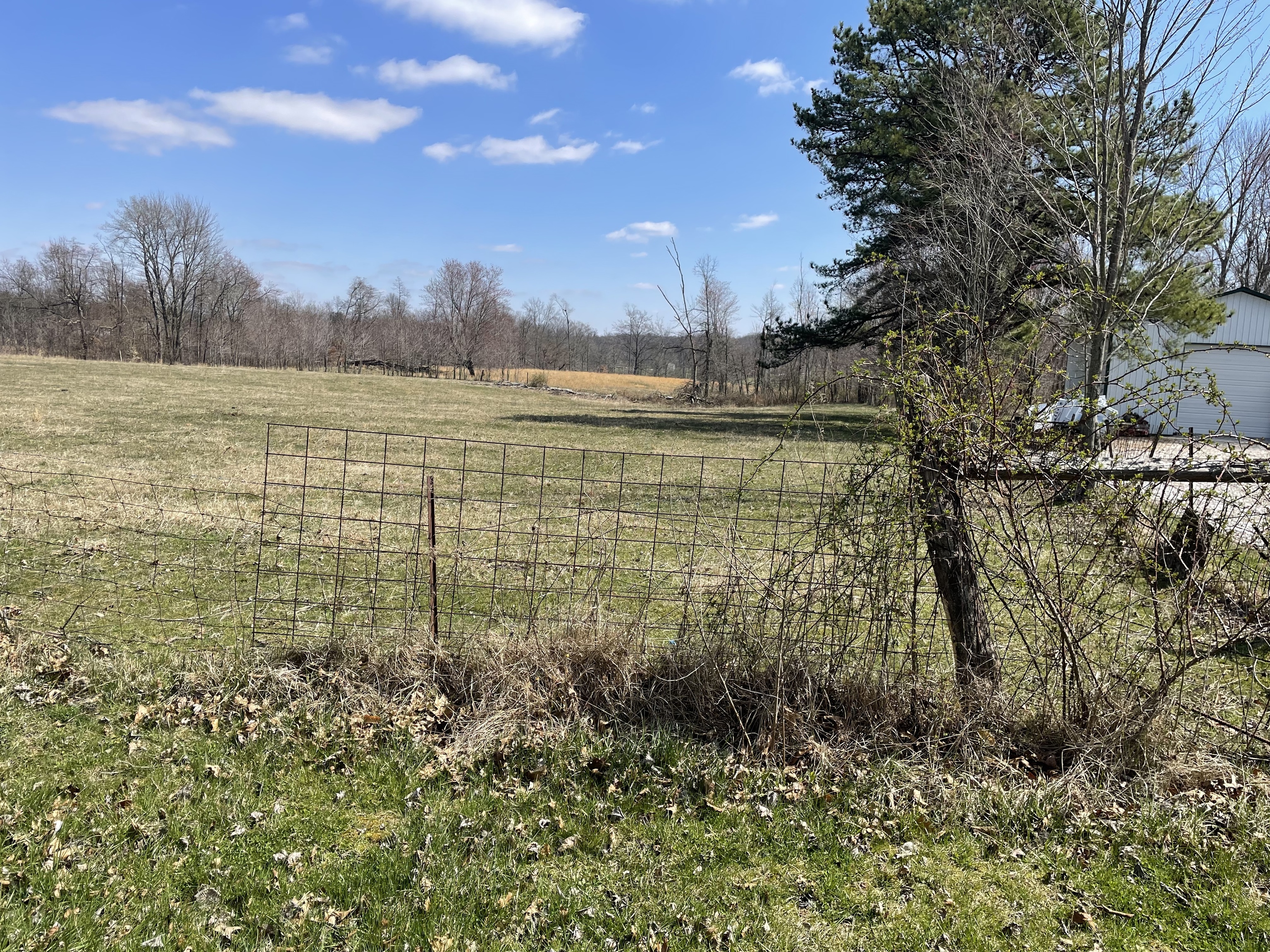 0 Combes Road Cloverdale, IN 47456 - Photo 8 of 11 Gallery Image 8