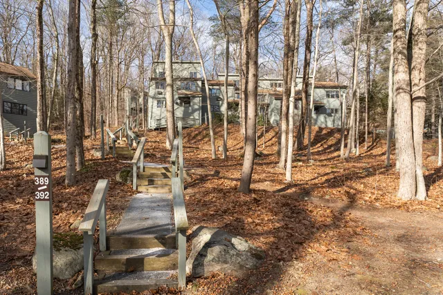 a view of a row of trees