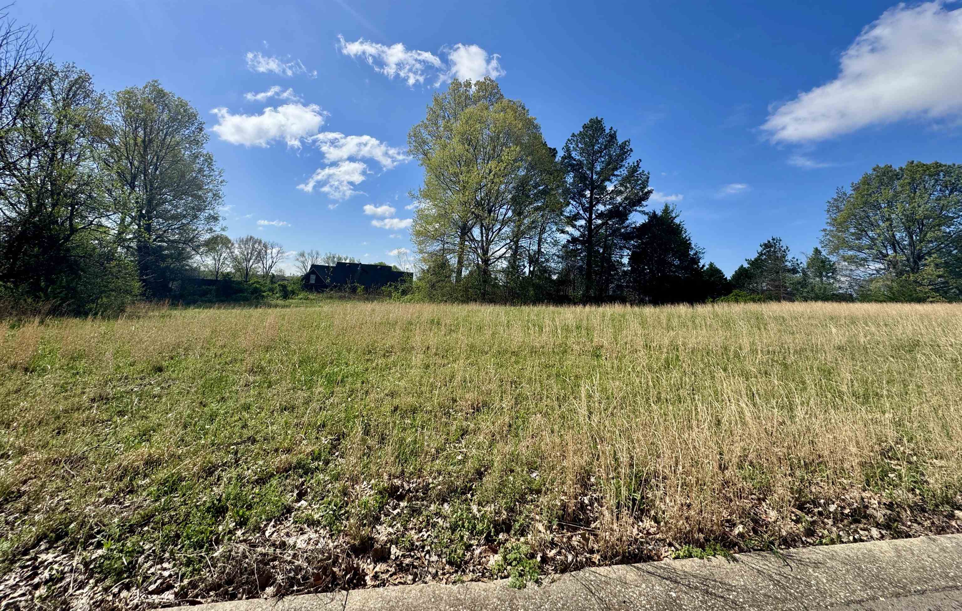 60 York Cmns Ripley, TN 38063 - Photo 1 of 2 View of yard