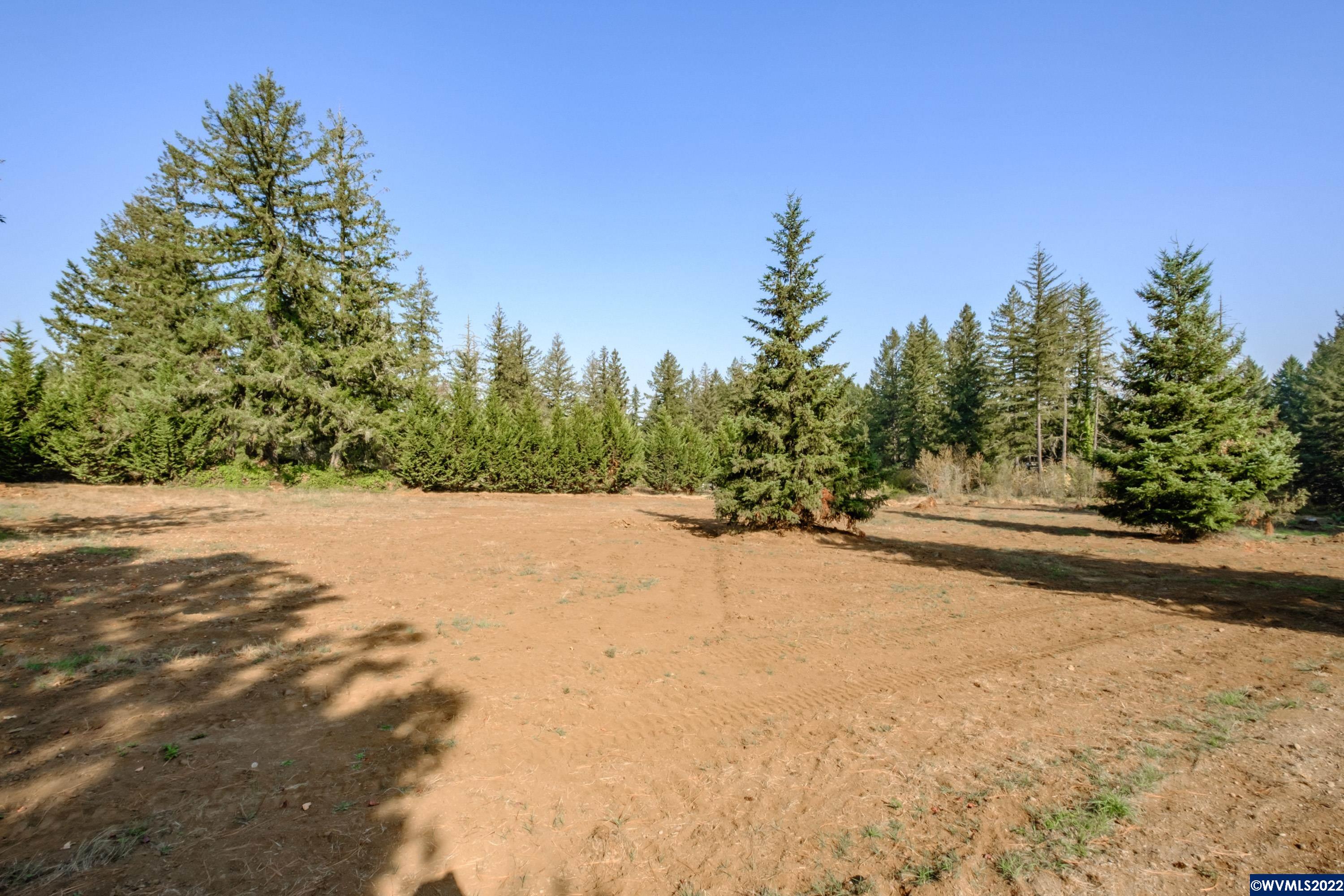 25668 Rice (parcel Road Sweet Home, OR 97386 - Photo 9 of 18