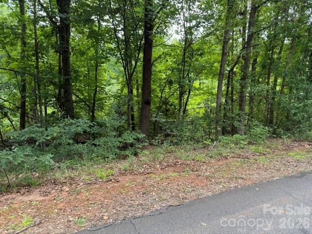 0 Chisholm Trail Rutherfordton, NC 28139 - Photo 7 of 11 Gallery Image 7