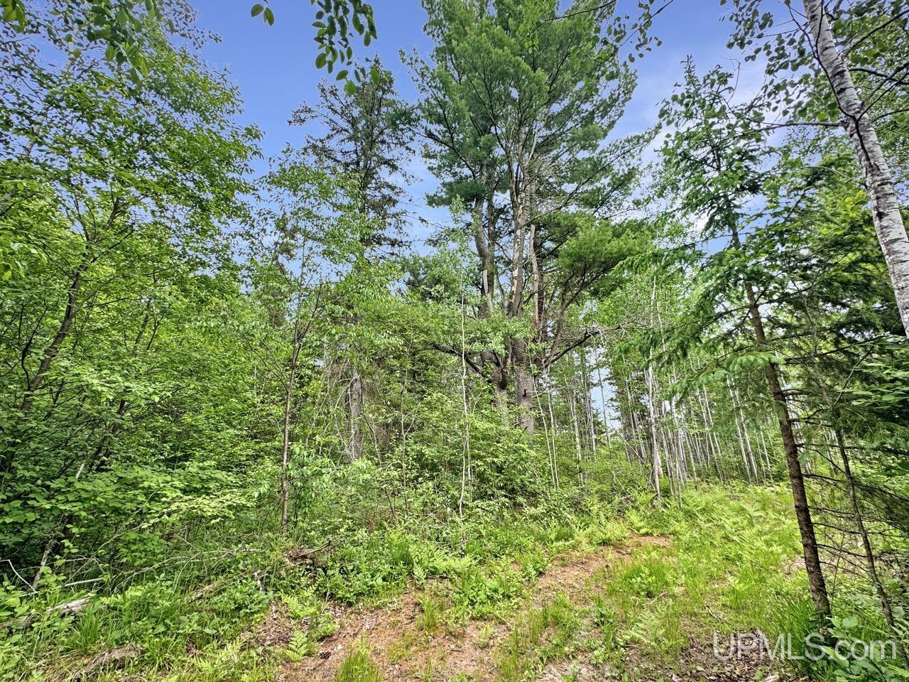 730 Premo Creek Road Crystal Falls, MI 49920 - Photo 49 of 91