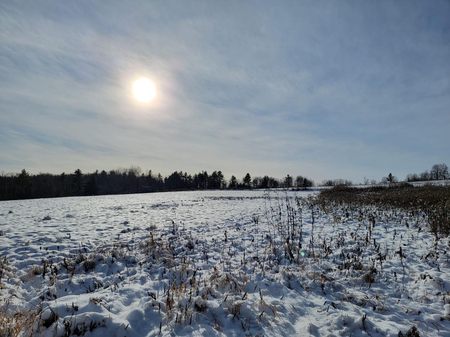0 Morgan Hill Road Afton, NY 13730 - Photo 1 of 1 Gallery Image 1