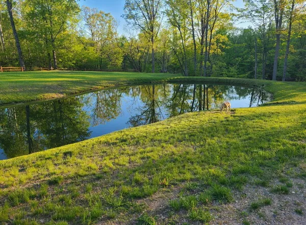 $500,000 | 19550 Washington Road, Morley, MI 49336