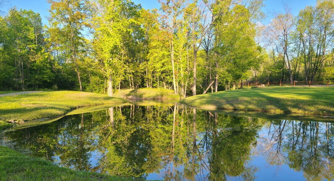 19550 Washington Road Morley, MI 49336 - Photo 28 of 34 1907819074889904879