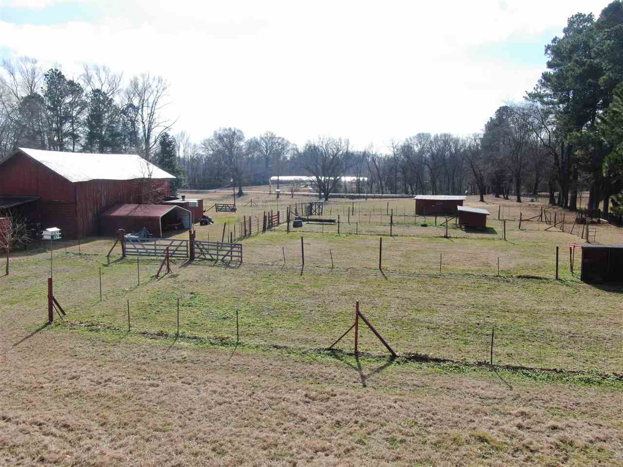 1960 Fite Road Memphis, TN 38127 - Photo 13 of 25 Gallery Image 13