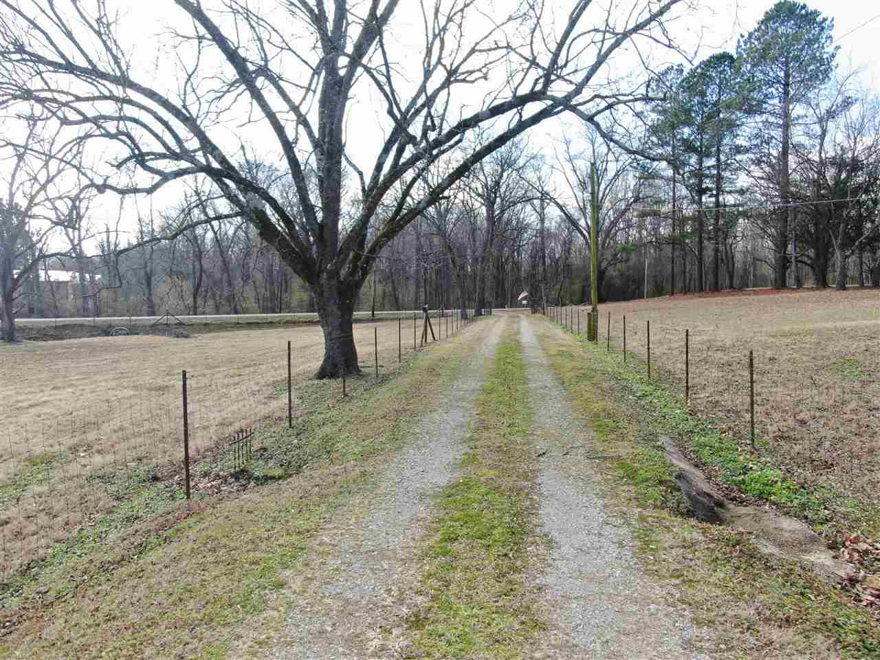 1960 Fite Road Memphis, TN 38127 - Photo 16 of 25 Gallery Image 16