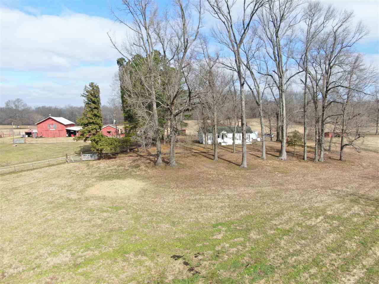 1960 Fite Road Memphis, TN 38127 - Photo 4 of 25 Gallery Image 4