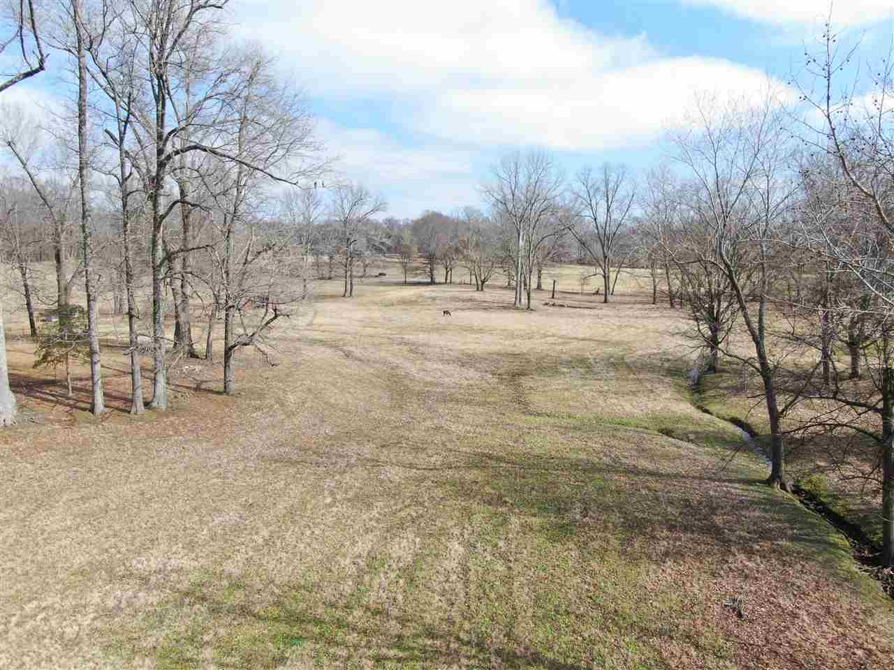 1960 Fite Road Memphis, TN 38127 - Photo 5 of 25 Gallery Image 5