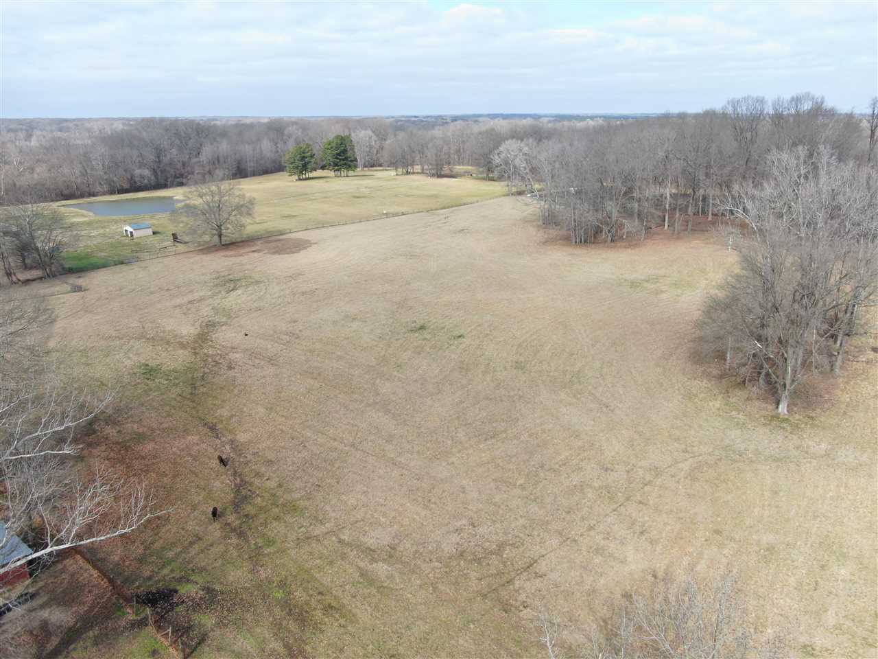 1960 Fite Road Memphis, TN 38127 - Photo 7 of 25 Gallery Image 7