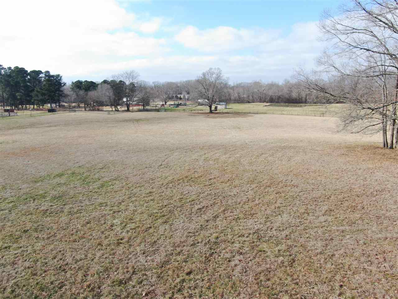 1960 Fite Road Memphis, TN 38127 - Photo 9 of 25 Gallery Image 9