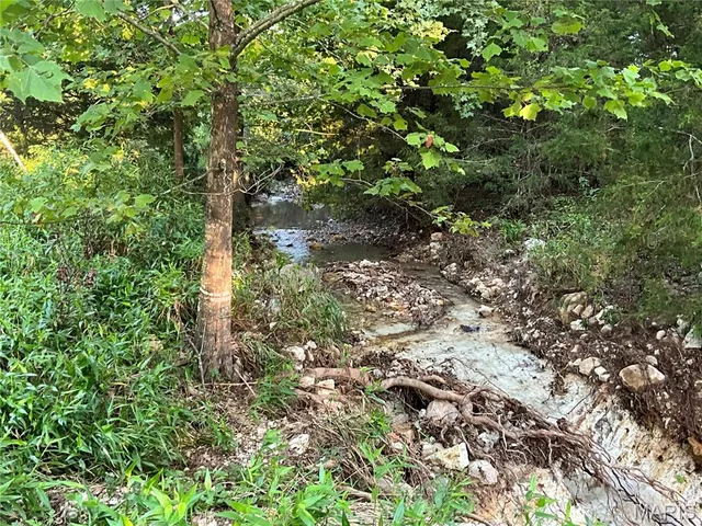 $349,900 | 10295 County Road 458A, Birch Tree, MO 65438