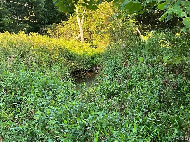 $345,000 | 10295 County Road 458A, Birch Tree, MO 65438