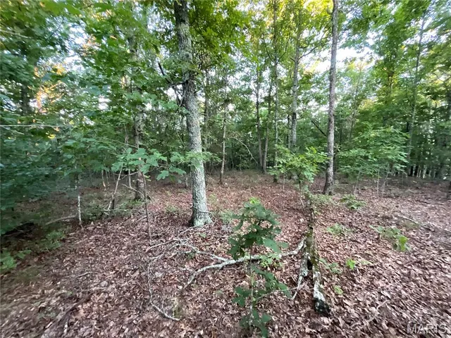 $349,900 | 10295 County Road 458A, Birch Tree, MO 65438