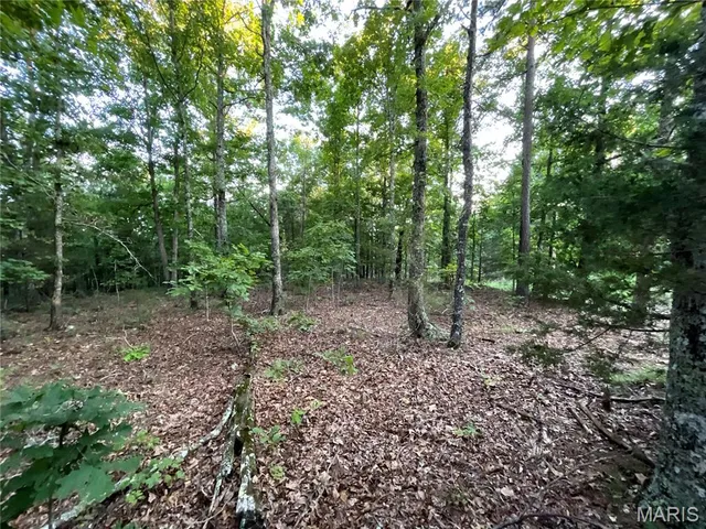 $349,900 | 10295 County Road 458A, Birch Tree, MO 65438