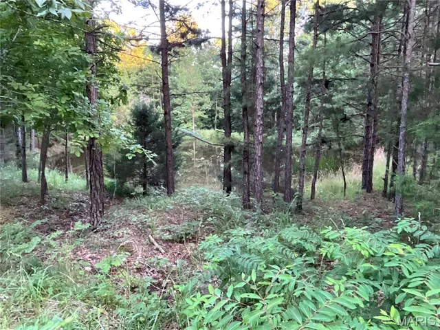 $349,900 | 10295 County Road 458A, Birch Tree, MO 65438