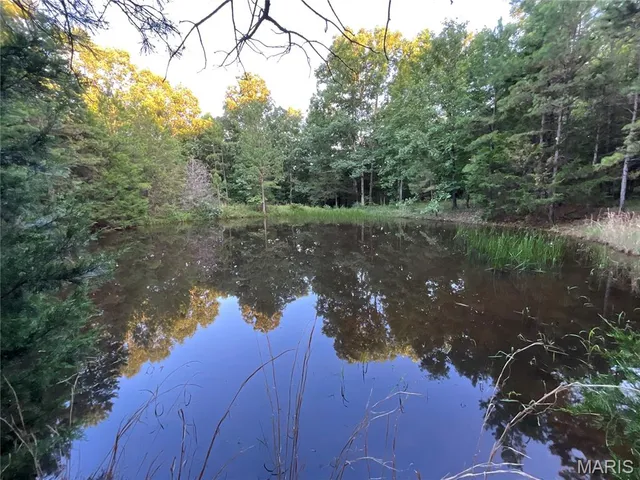 $349,900 | 10295 County Road 458A, Birch Tree, MO 65438