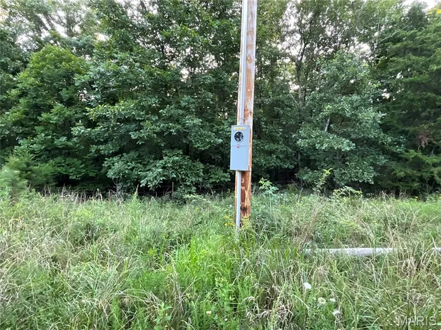 $345,000 | 10295 County Road 458A, Birch Tree, MO 65438