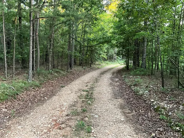 $345,000 | 10295 County Road 458A, Birch Tree, MO 65438