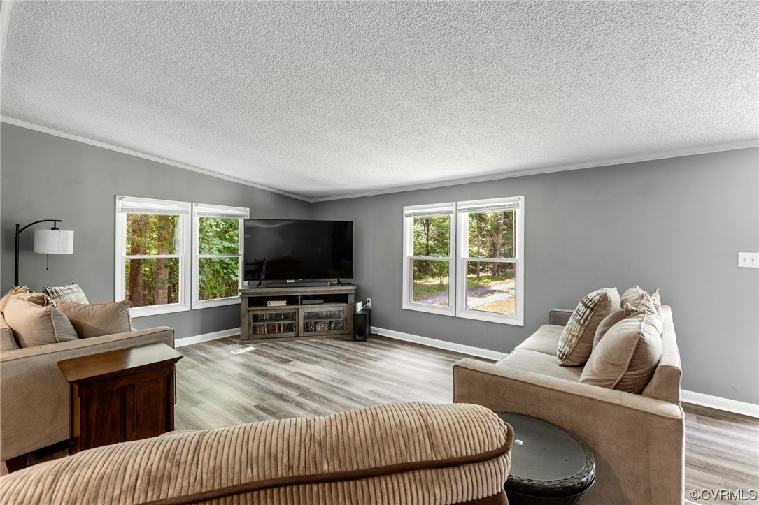 3549 Cedar Plains Road Sandy Hook, VA 23153 - Photo 5 of 26 a living room with furniture and a flat screen tv