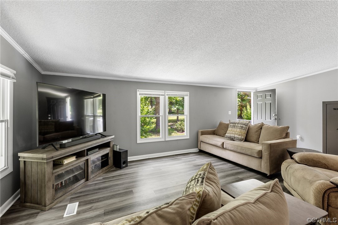3549 Cedar Plains Road Sandy Hook, VA 23153 - Photo 7 of 26 a living room with furniture and a flat screen tv