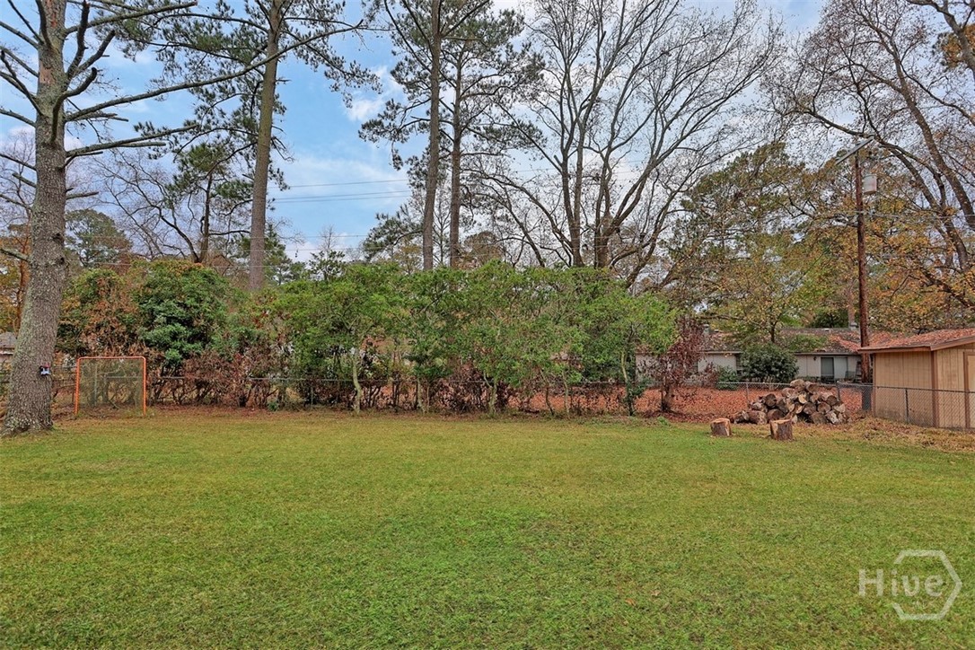 703 Birchwood Road Savannah, GA 31419 - Photo 26 of 29