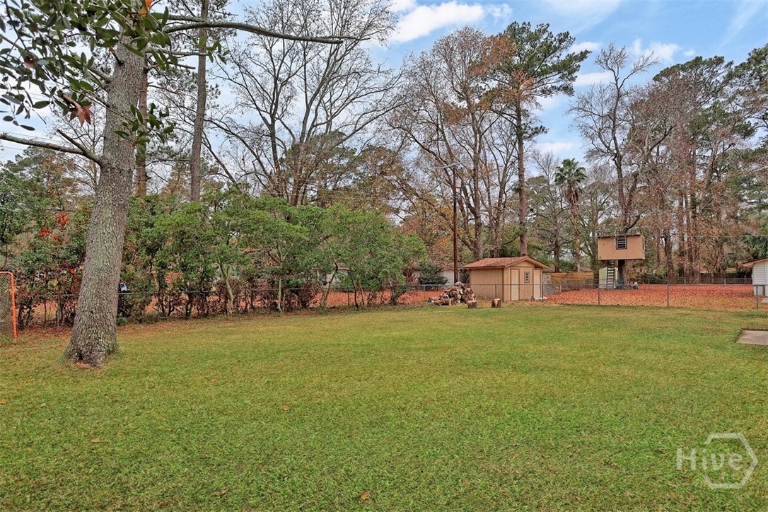 703 Birchwood Road Savannah, GA 31419 - Photo 27 of 29