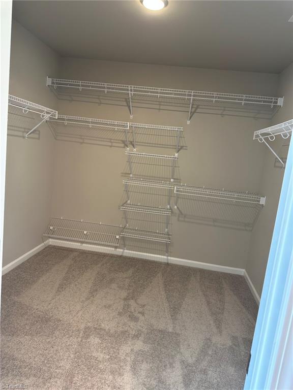 3224 Alyssa Way High Point, NC 27265 - Photo 18 of 27 enormous closet