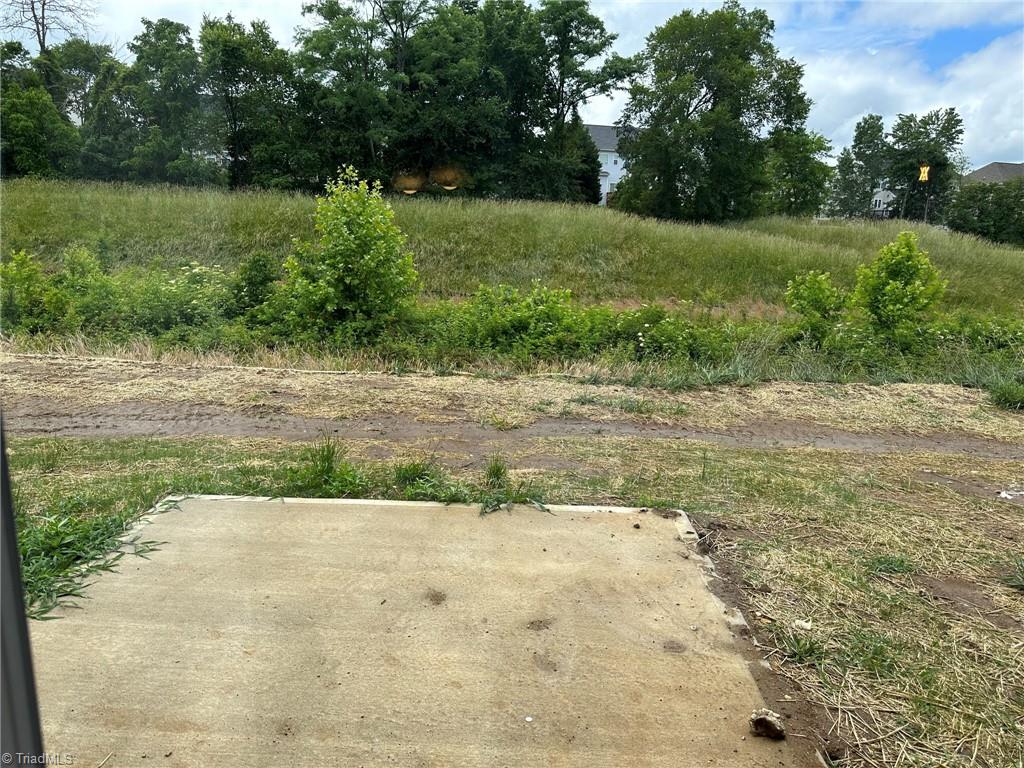 3224 Alyssa Way High Point, NC 27265 - Photo 27 of 27 private back yard