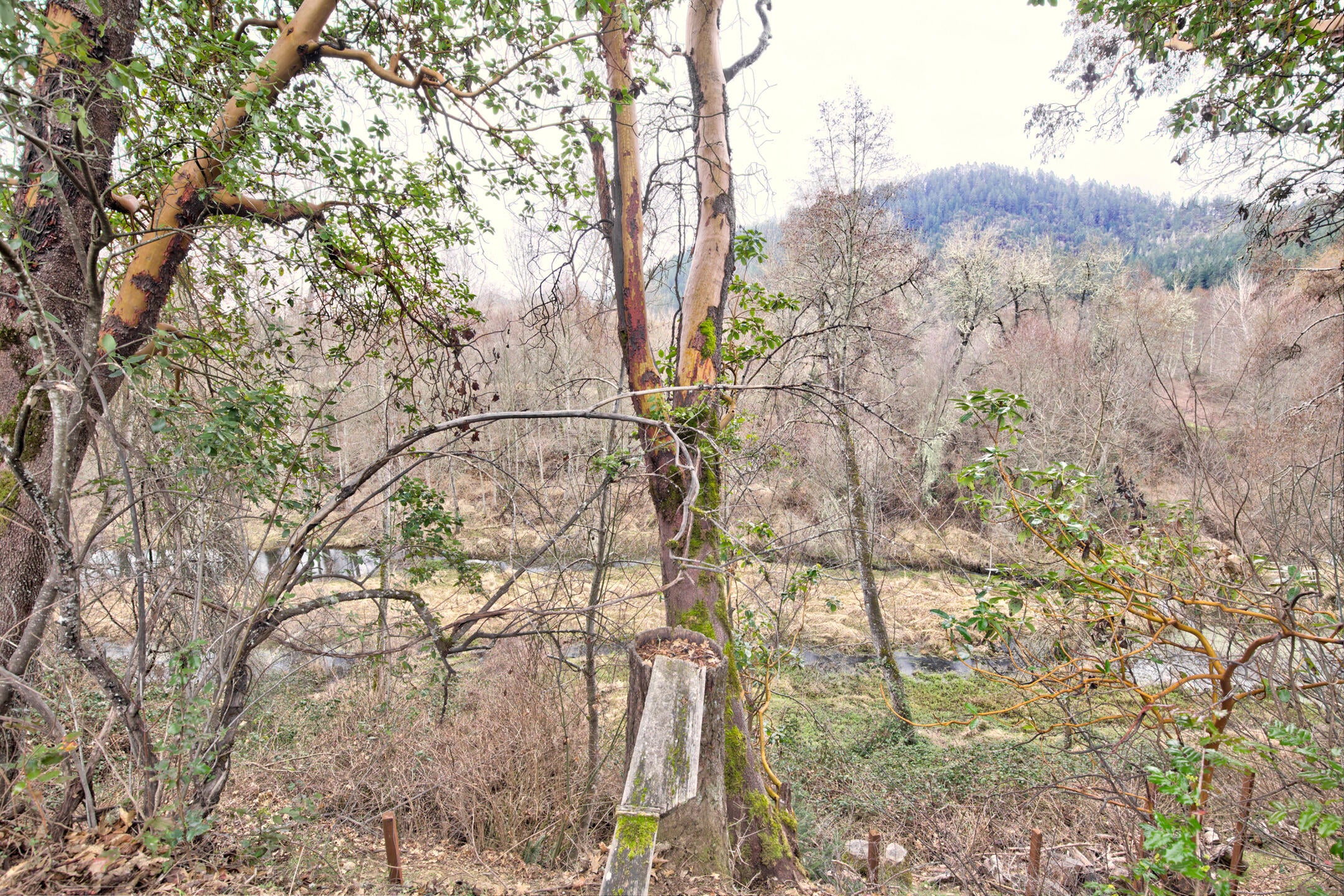 8225 North Applegate Road Grants Pass, OR 97527 - Photo 53 of 57 0R1A8259_60_61_62_63
