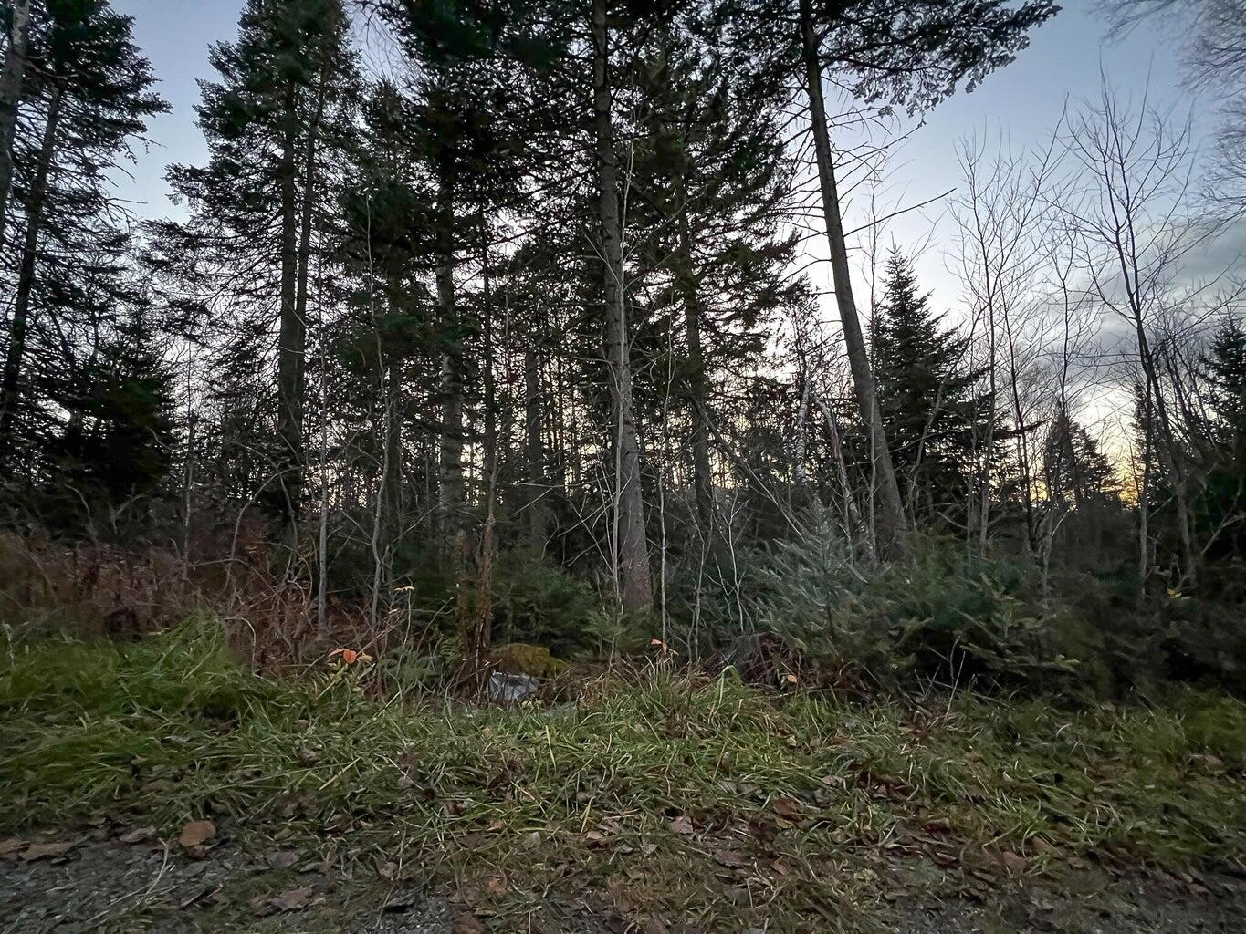 Lot 16 Mill Brook Road Sandy River Plt, ME 04970 - Photo 26 of 44