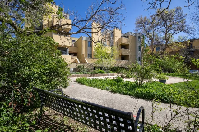a couple of flower plants in front of a house