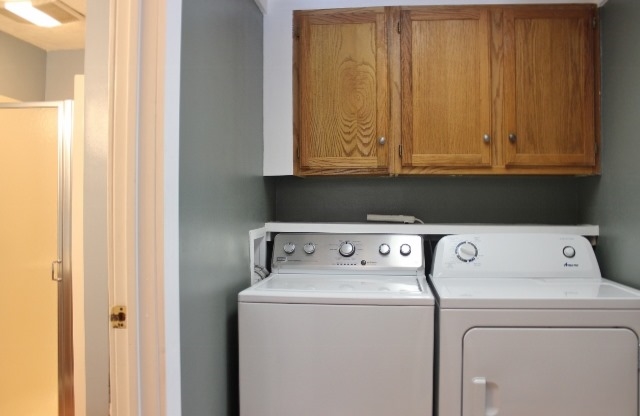 1145 South Alamando Road Shepherd, MI 48883 - Photo 42 of 60 1827330-41.JPG