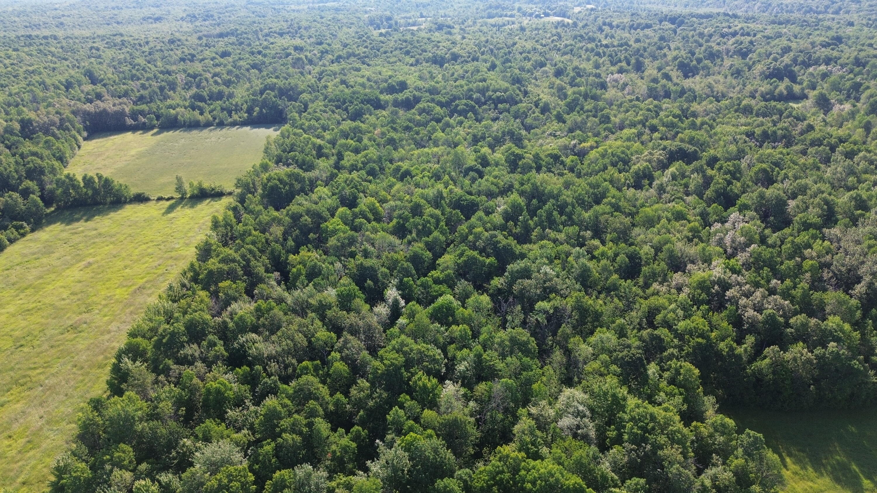 . Lost Nation Road Churubusco, NY 12923 - Photo 8 of 34 DJI_0469