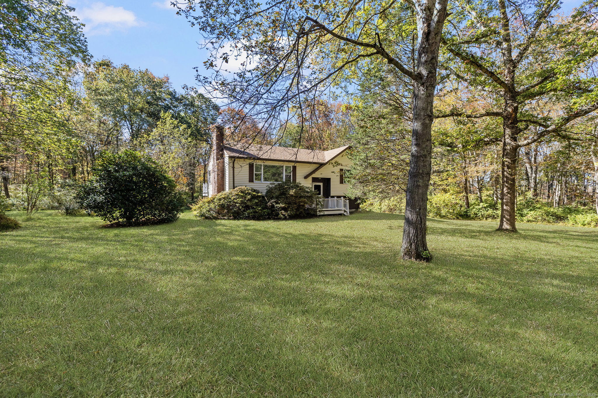 137 Drain Street Hampton, CT 06247 - Photo 28 of 30 a tree in the middle of a yard