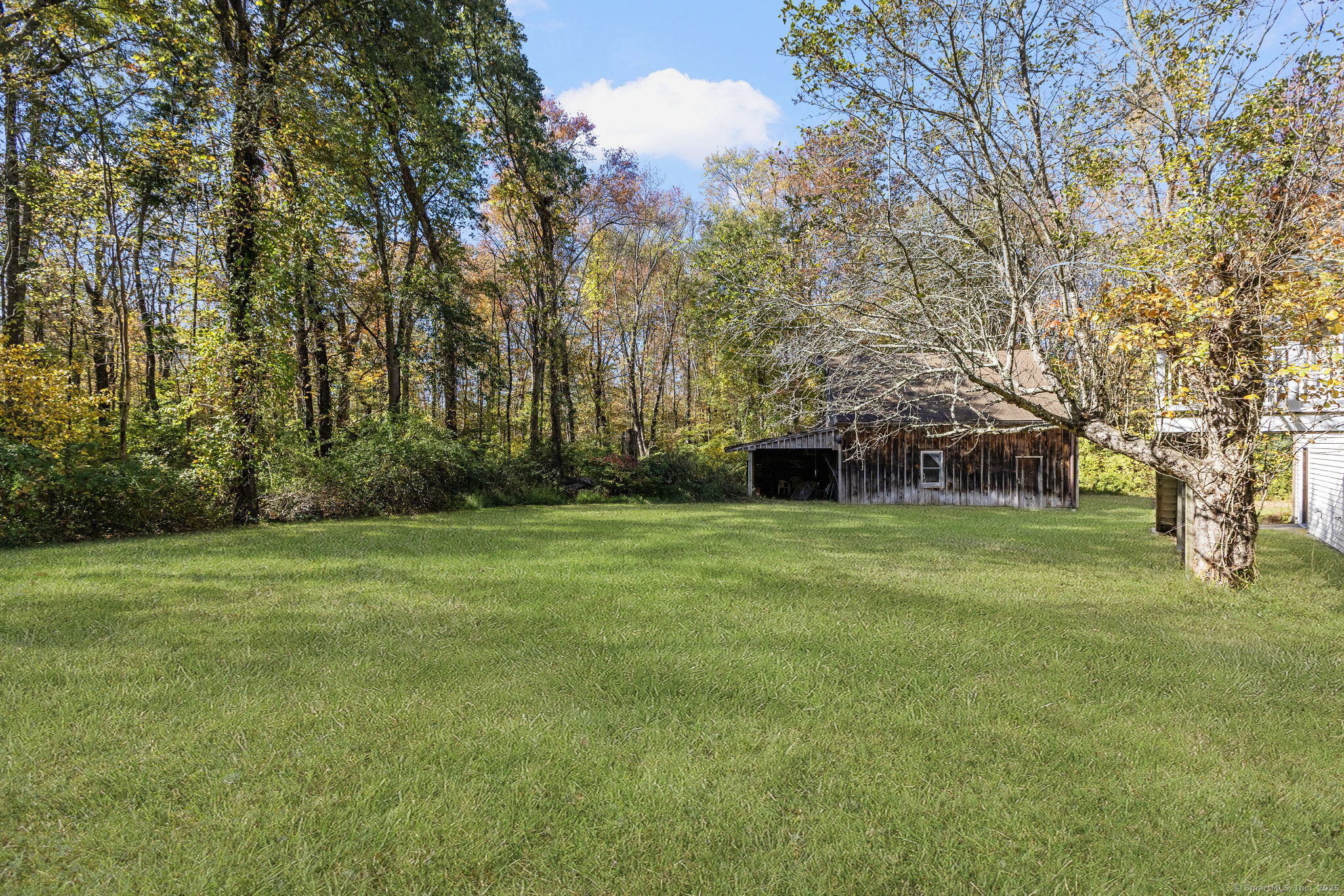 137 Drain Street Hampton, CT 06247 - Photo 29 of 30 a view of a trees in front of a big yard