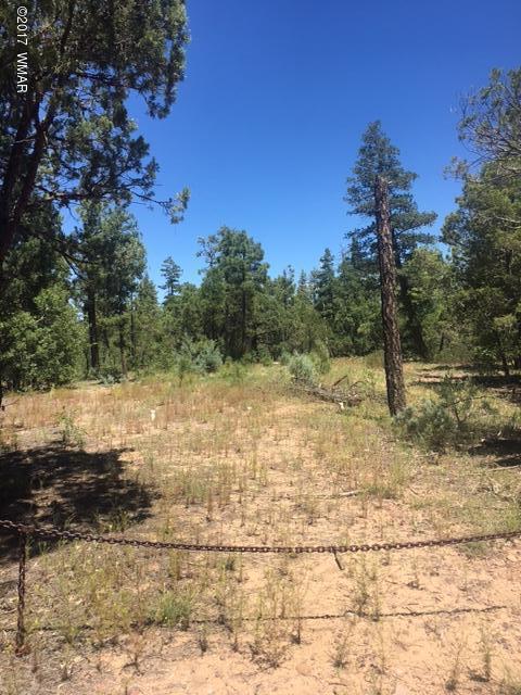 4416 West Rim Road Lakeside, AZ 85929 - Photo 1 of 3