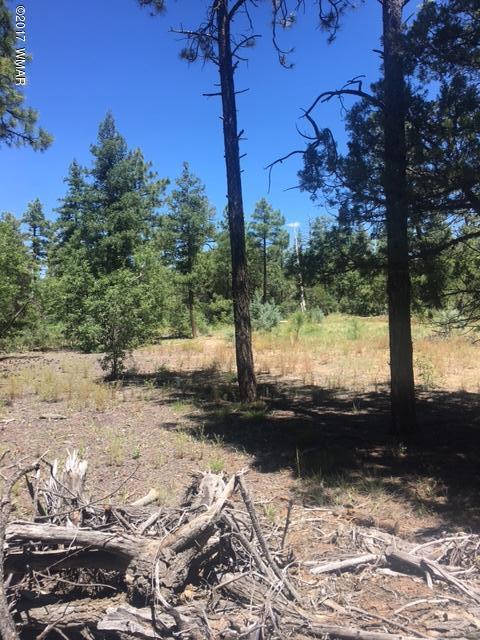 4416 West Rim Road Lakeside, AZ 85929 - Photo 2 of 3