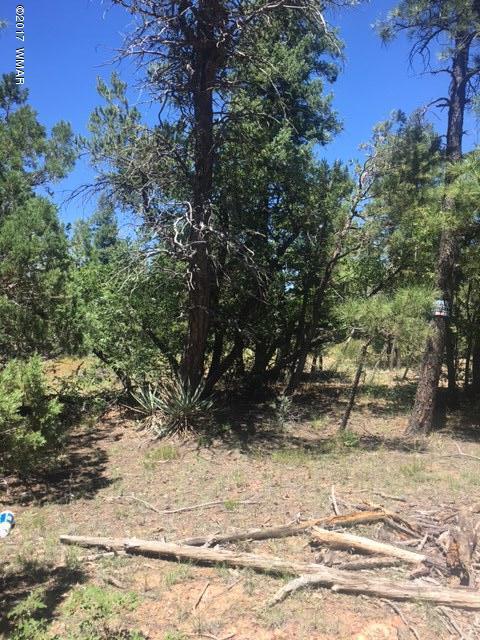 4416 West Rim Road Lakeside, AZ 85929 - Photo 3 of 3