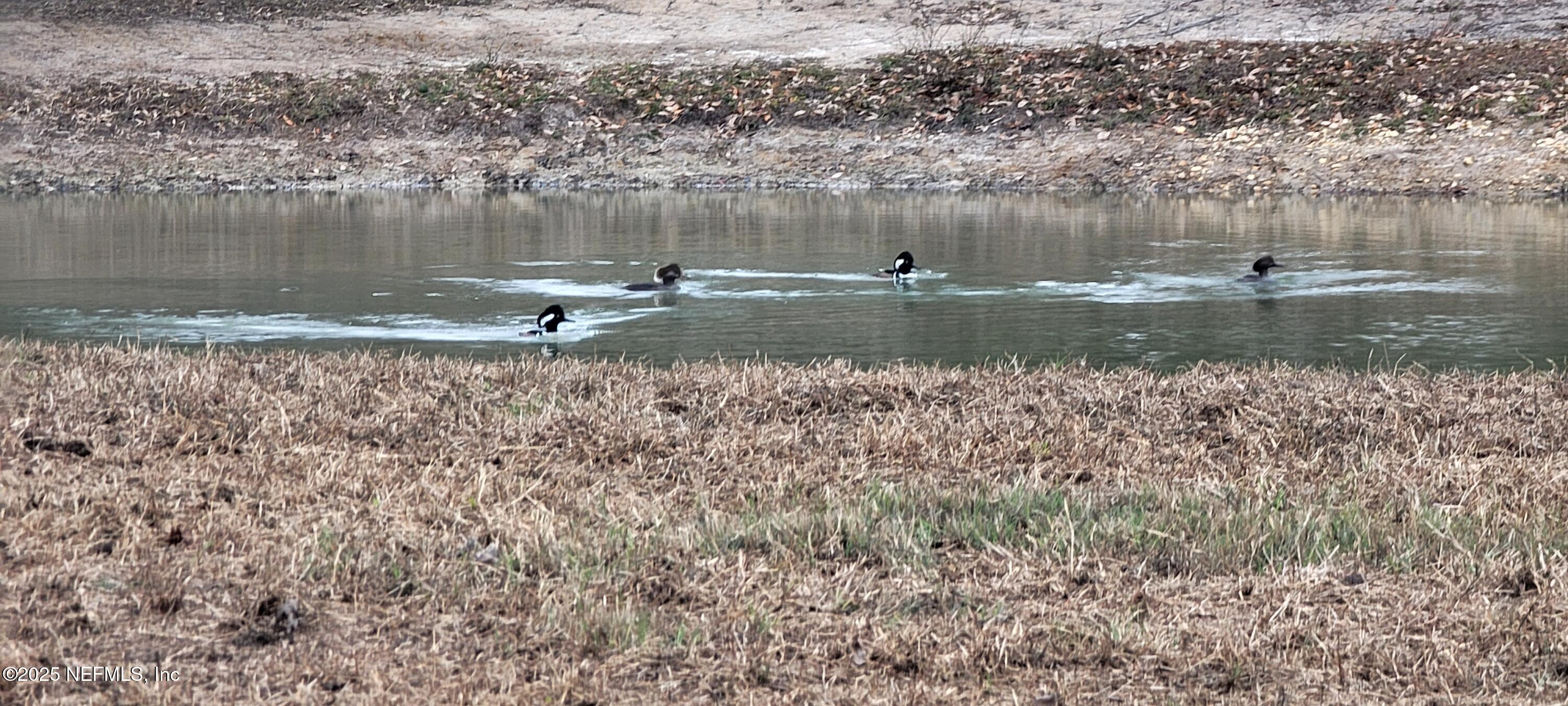 8219 Mud Lake Road Macclenny, FL 32063 - Photo 90 of 105 6498073363394693652