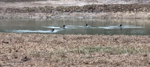 $819,900 | 8219 Mud Lake Road, Macclenny, FL 32063