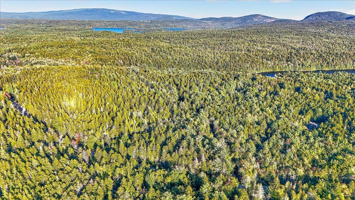 Tbd Pretty Marsh Road Mount Desert, ME 04660 - Photo 8 of 17 03-Pretty Marsh Rd.-2